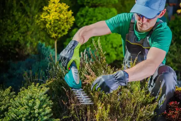 landscaping services Chesaning